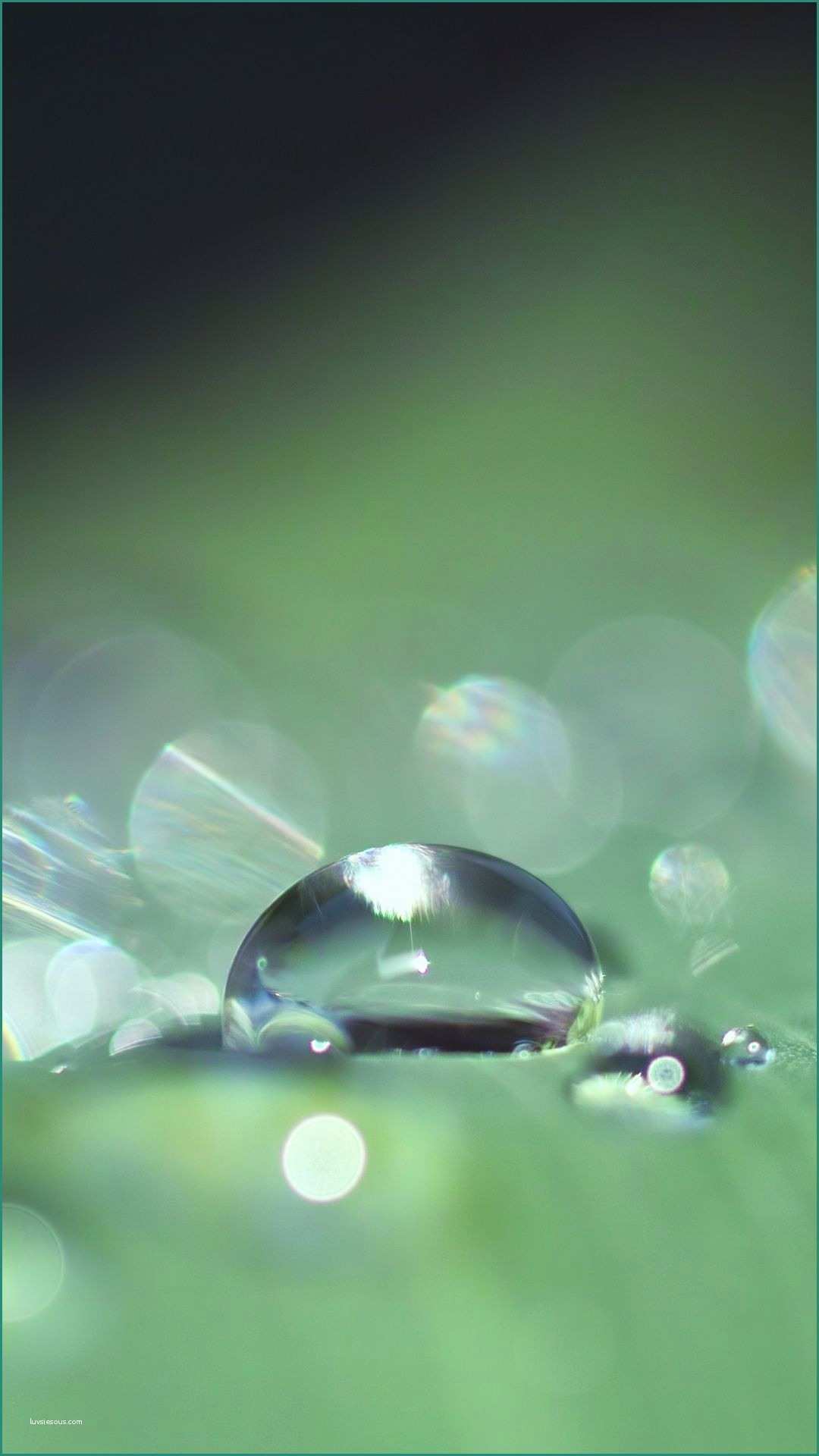 Immagini Paesaggi Naturali Gratis E Close Up Drops Leaf Surface Bokeh 1080x1920 Wallpaper
