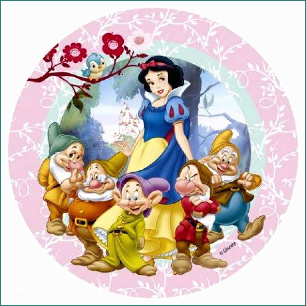 Immagini Principesse Disney Da Scaricare E Cialda Biancaneve A soli 4 49 €