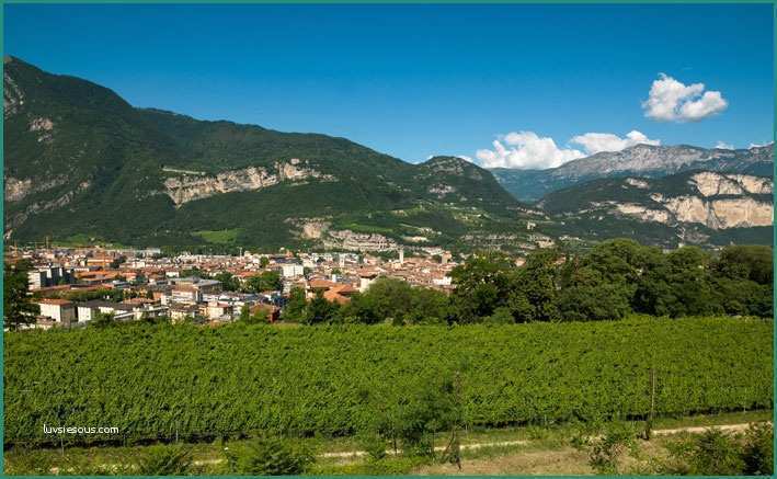 La Valle Interlines E Cantina La Vis E Valle Di Cembra Vini Del Trentino La Vis