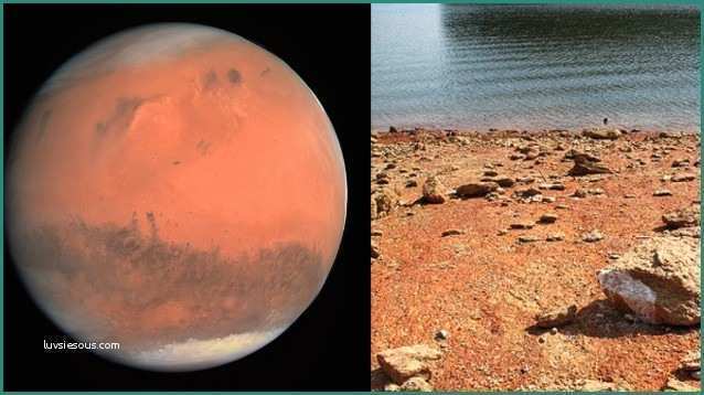 Lavastoviglie Carica Acqua Ma Non Parte E Scoperta L’acqua Su Marte è Un Lago Salato Che Ha I