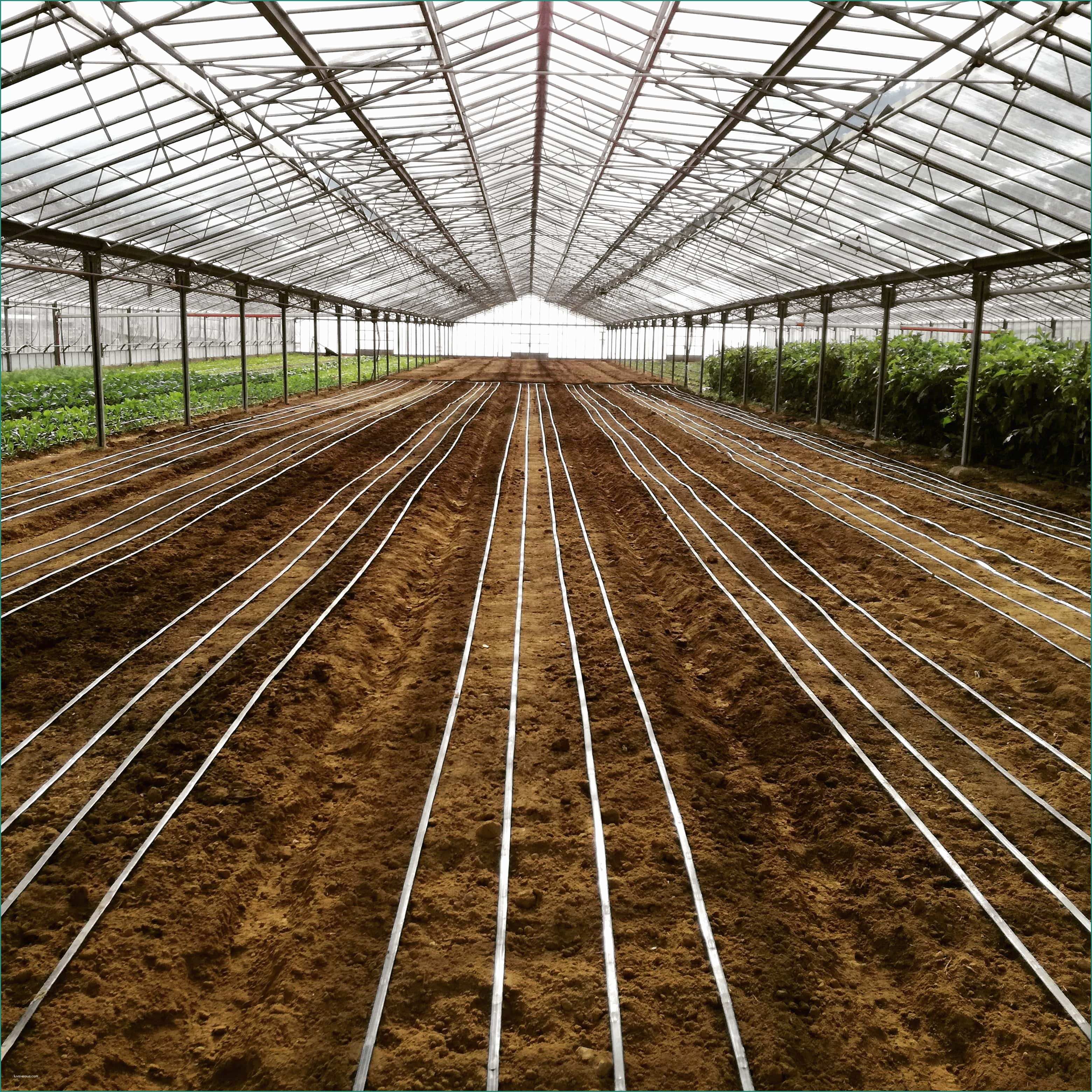 Leroy Merlin Irrigazione E Impianto Di Irrigazione A Goccia Per orto Kit Per Irrigazione orto