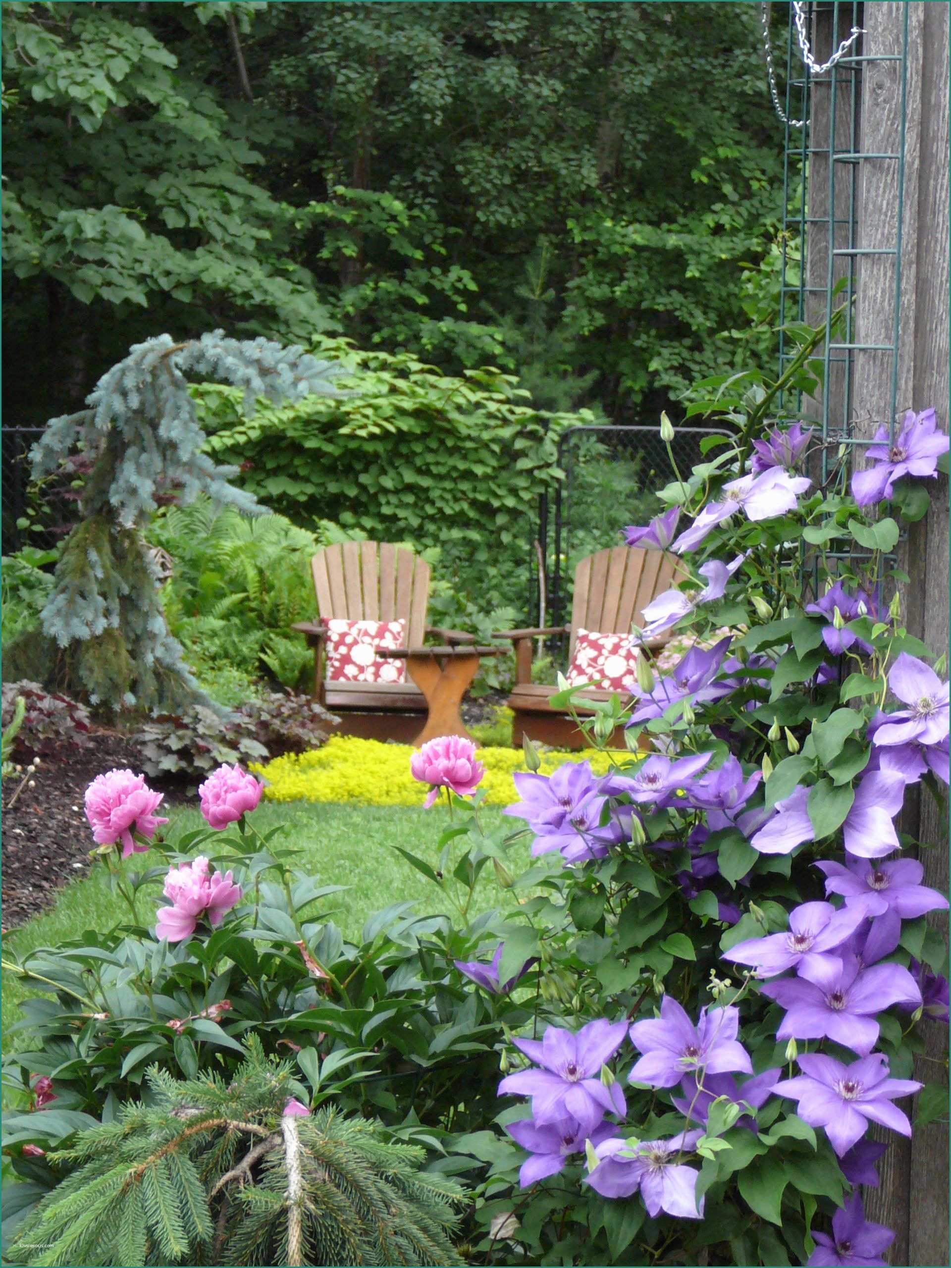 Lettino Da Giardino E Ottawa Garden In June Things I Adore