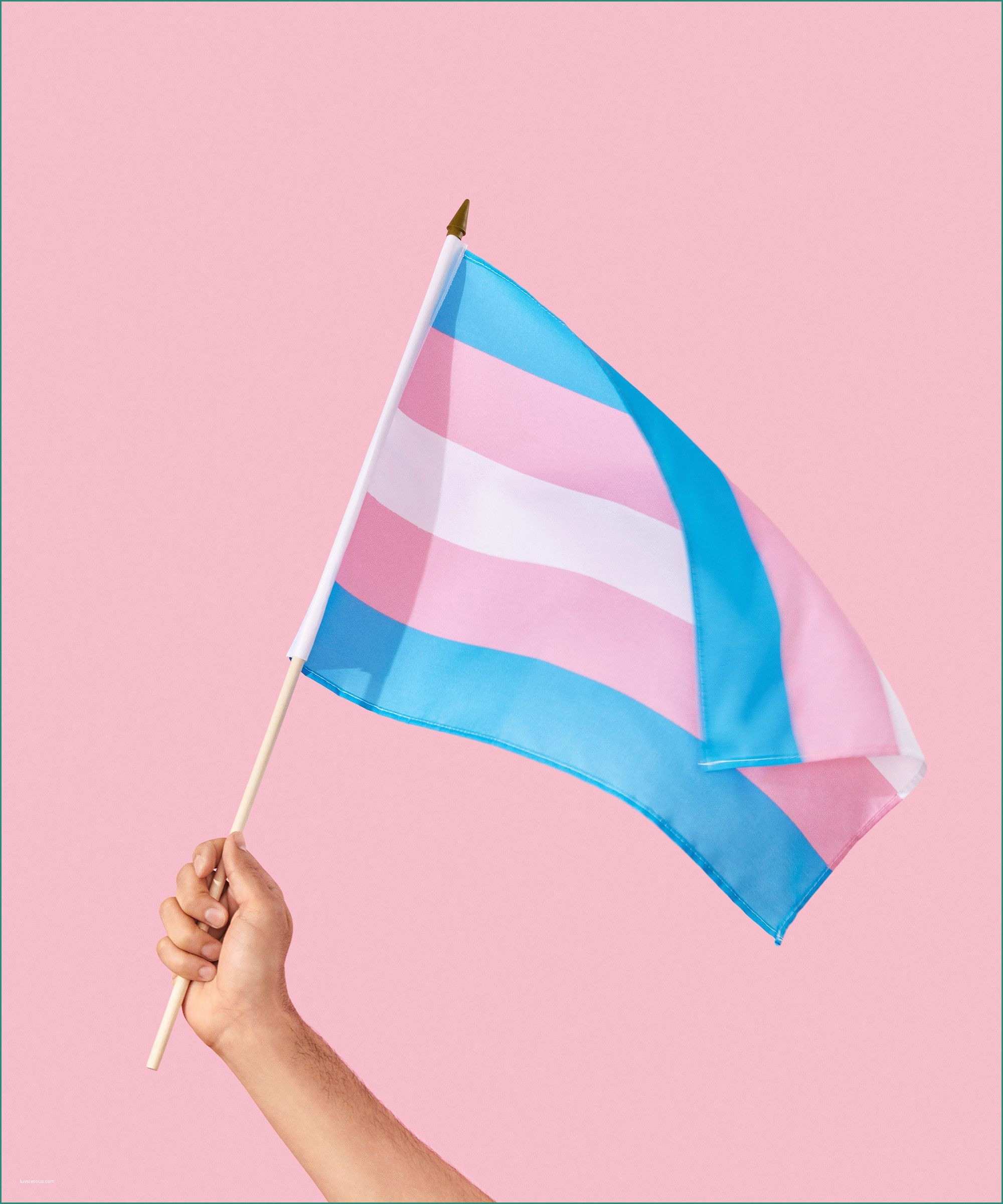 Lube Store Milano E Lgbtq Definitions Gender Identity Ual orientations