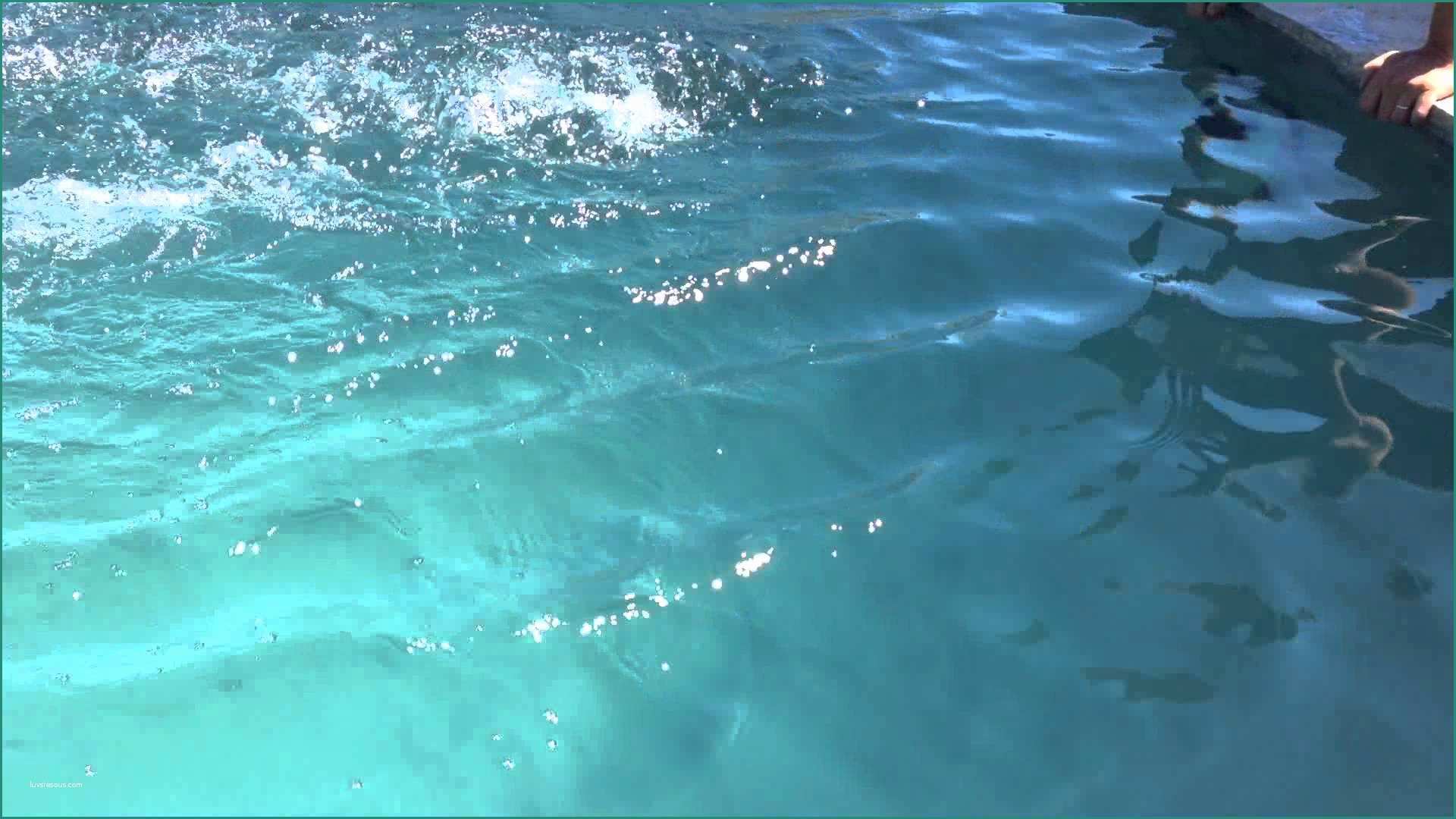 Minipiscine Nuoto Controcorrente E Nuoto Dimensioni Minime Nuoto Immagini Stock Idee Di Per Persone