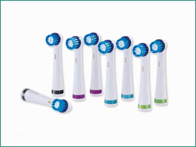 Nevadent Spazzolino Elettrico E Nevadent Replacement toothbrush Heads Lidl — northern