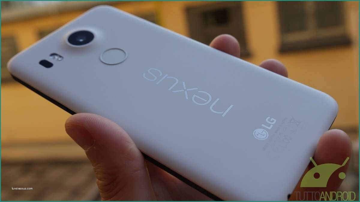Nexus Stockisti E Lg Nexus 5x Disponibile All Acquisto Su "gli Stockisti