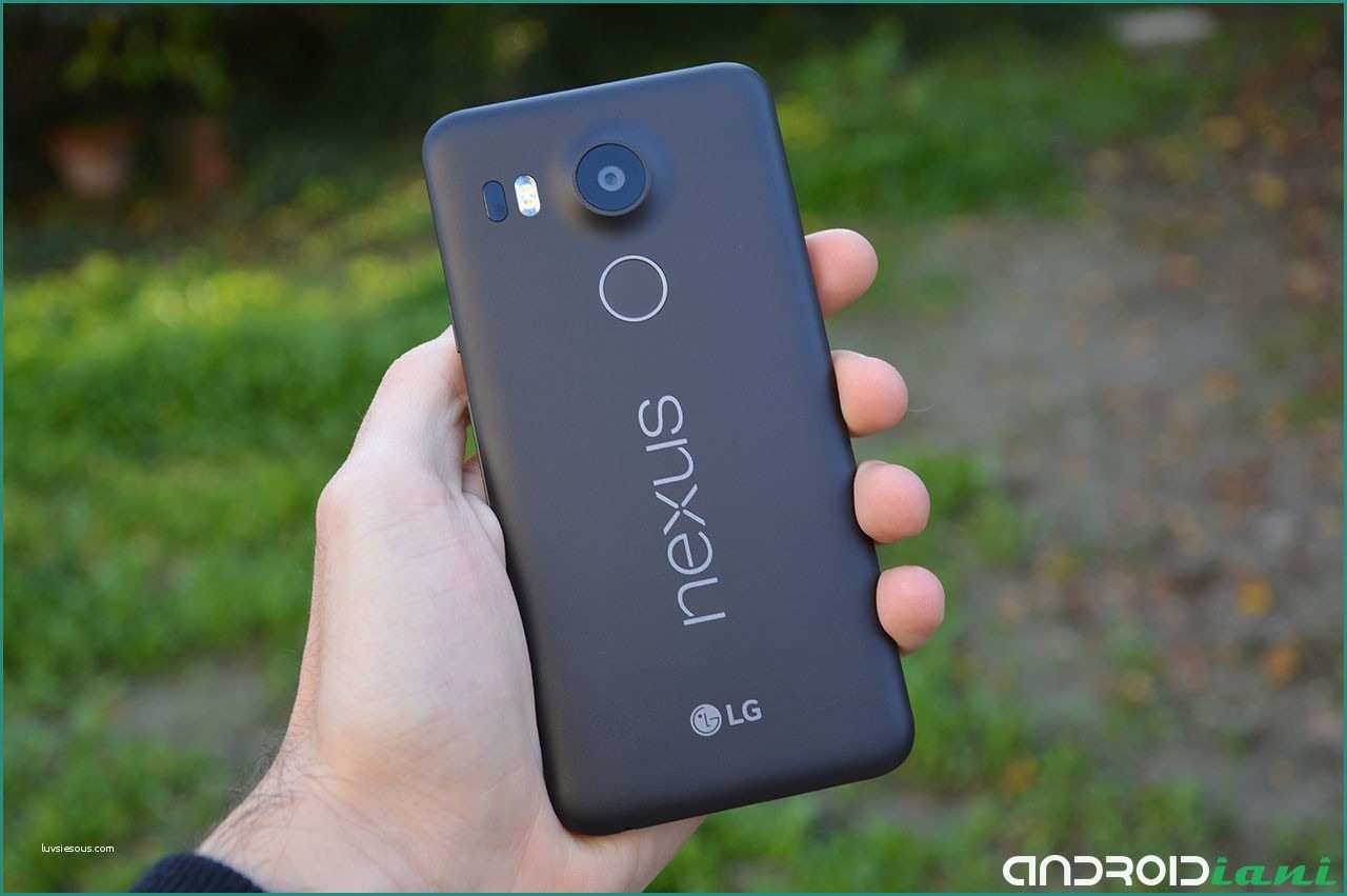 Nexus Stockisti E Lg Nexus 5x Scende A 209€ Su Gli Stockisti androidiani