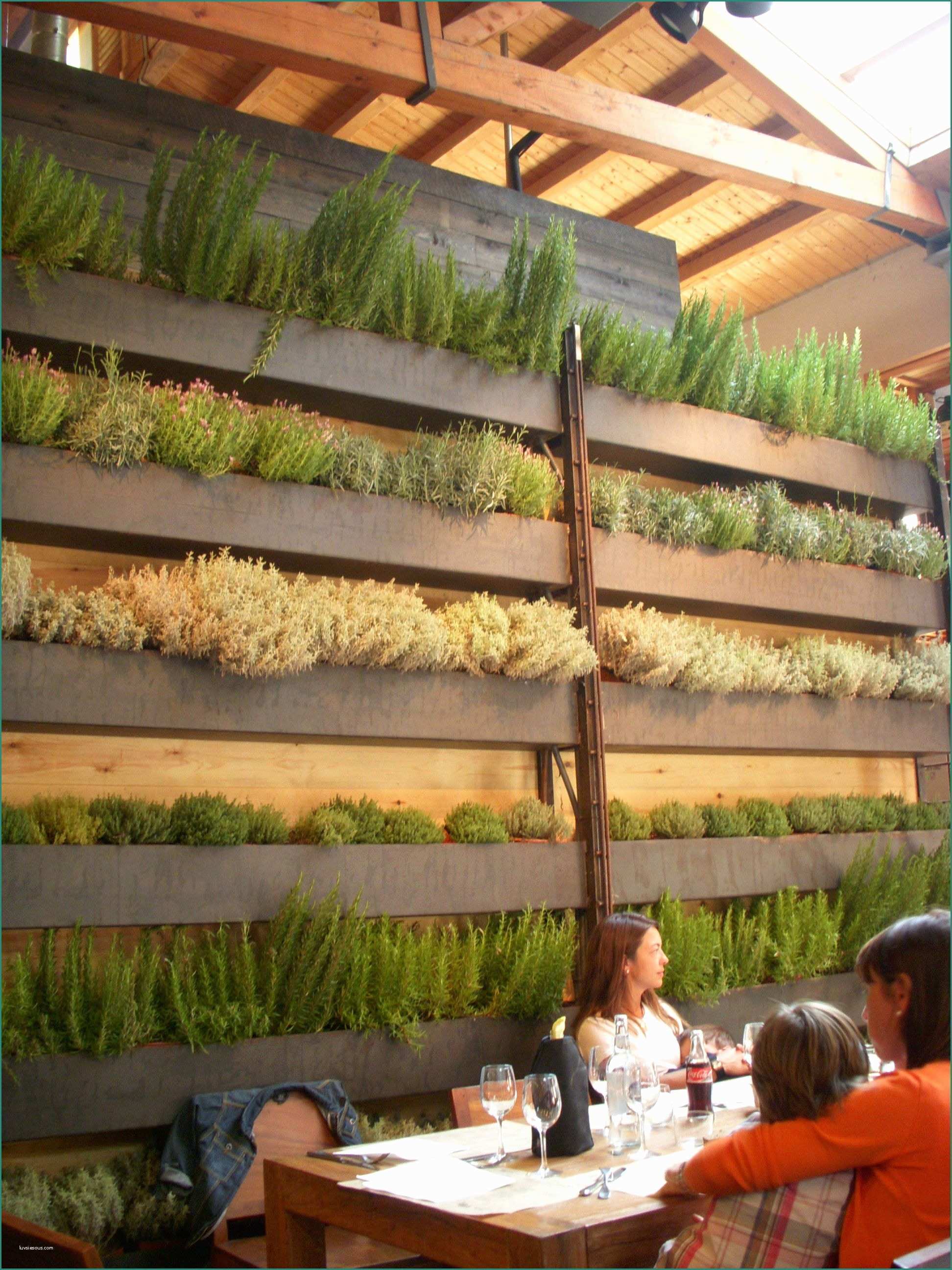 Piante Rampicanti Da Interno E Amazing Veggie Wall In Barcelona