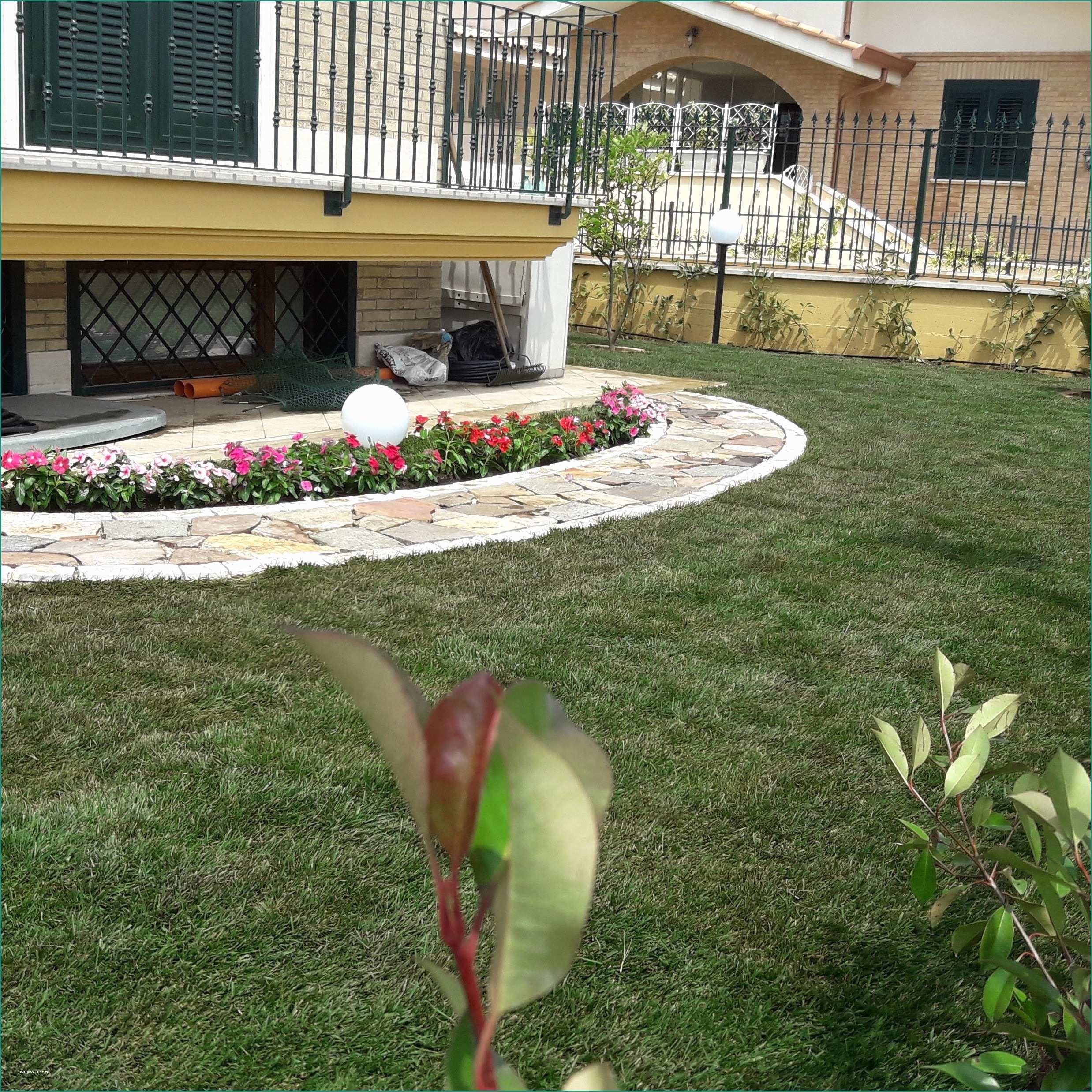 Piante Sempreverdi Da Terrazzo In Pieno sole E I Migliori 40 Servizi Di Giardinaggio A Fonte Nuova Con Preventivi