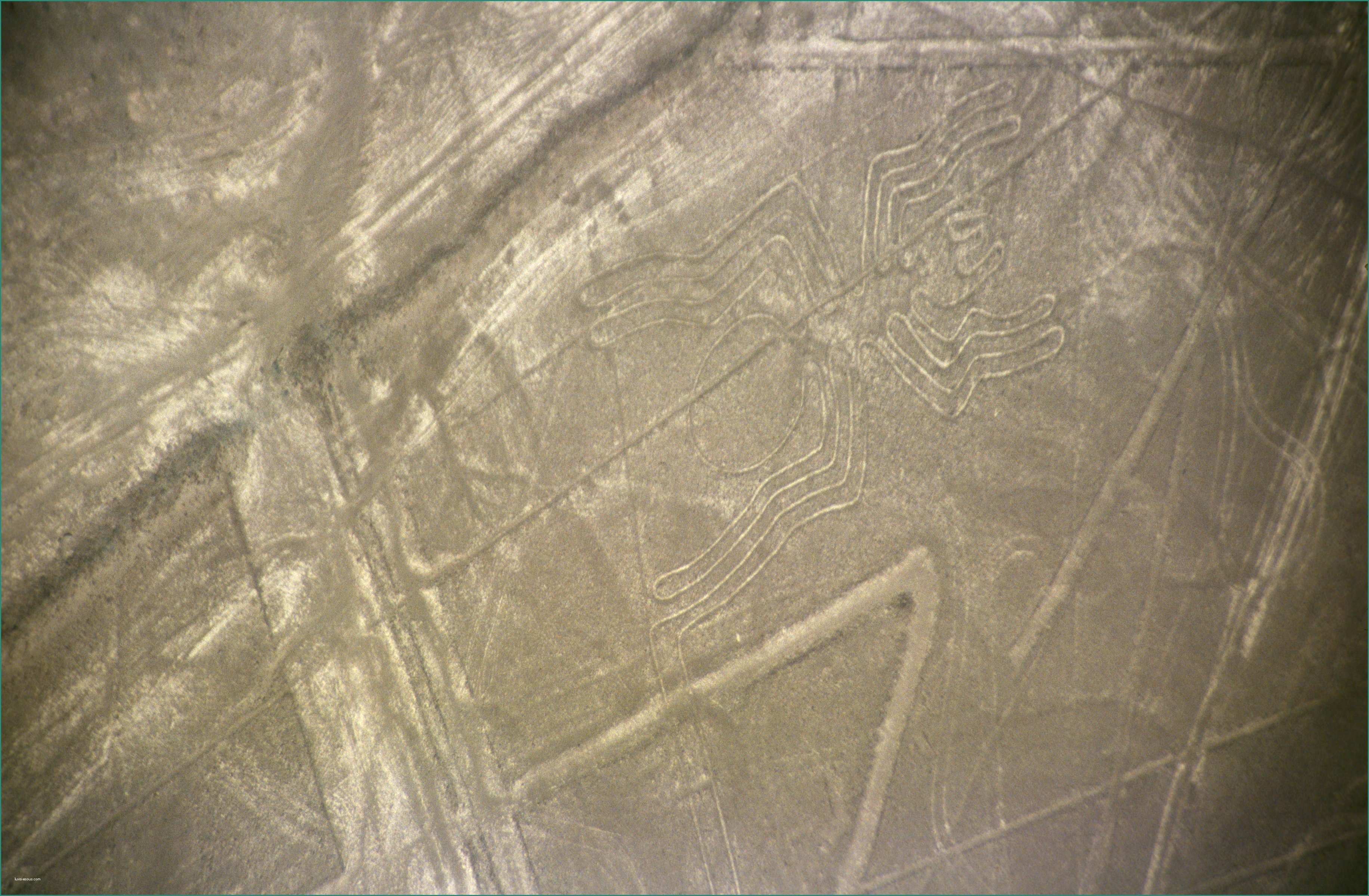 Planisfero Per Bambini E Linee Di Nazca
