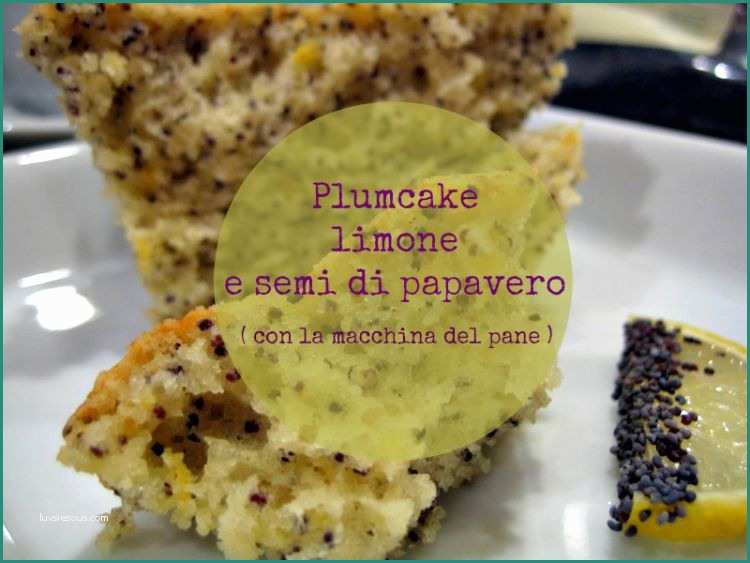 Plumcake Macchina Del Pane E Plum Cake Limone E Semi Di Papavero