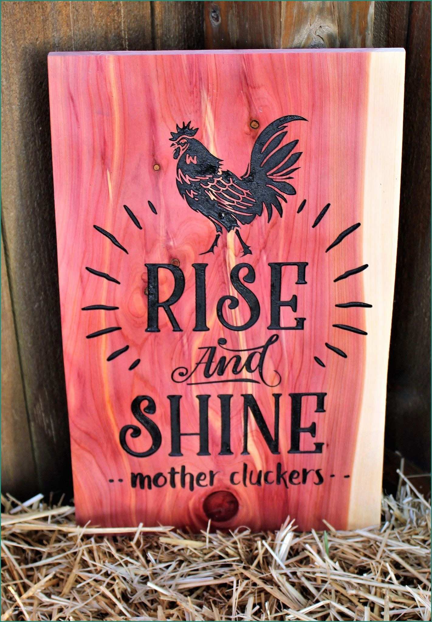 Pollaio Fai Da Te Progetto E Rise and Shine Sign Mother Cluckers Sign Engraved Wood Sign