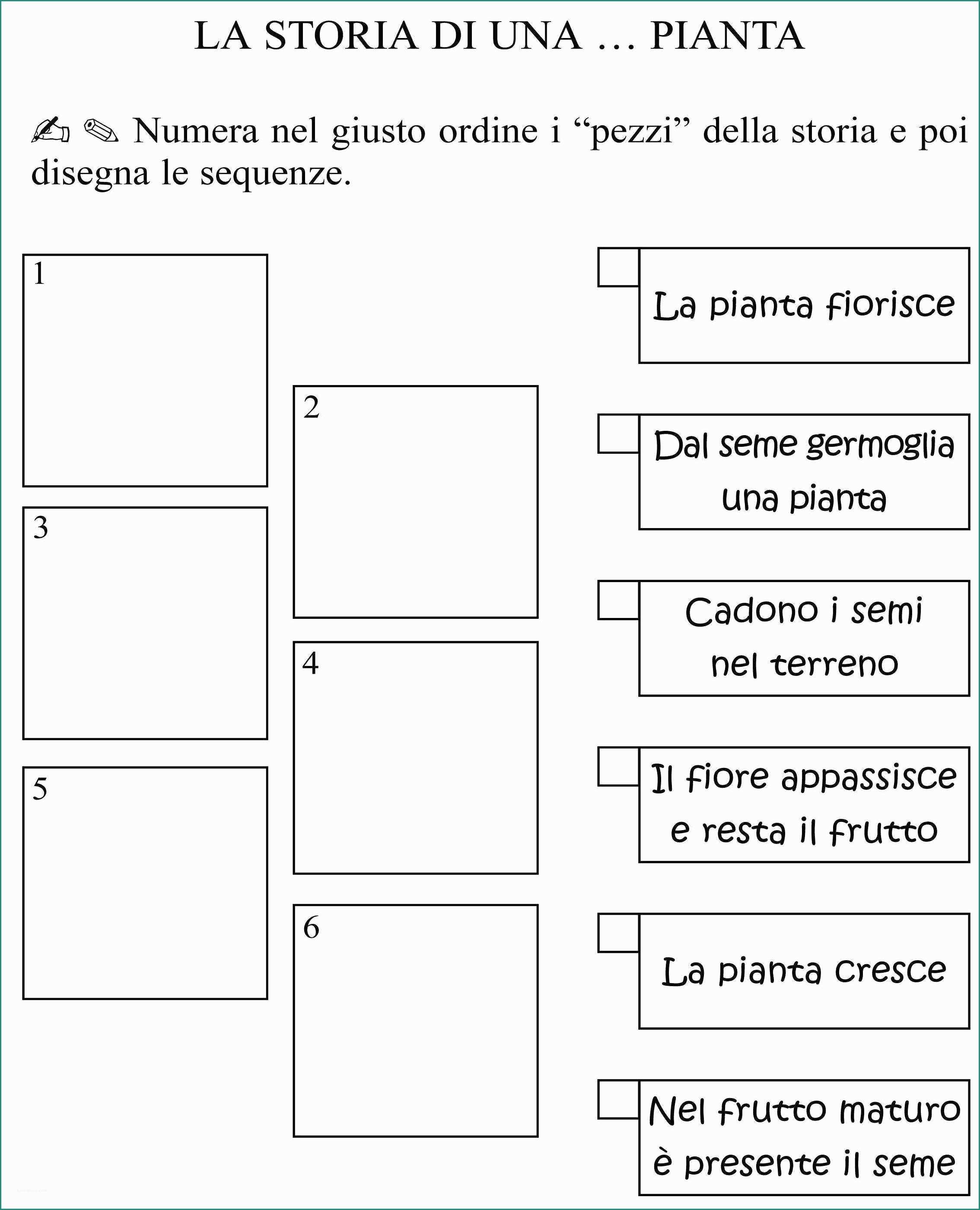 Quaderni Italiano Classe Seconda E Pin Di Rosa Lancellotta Su Teaching Material Nel 2018