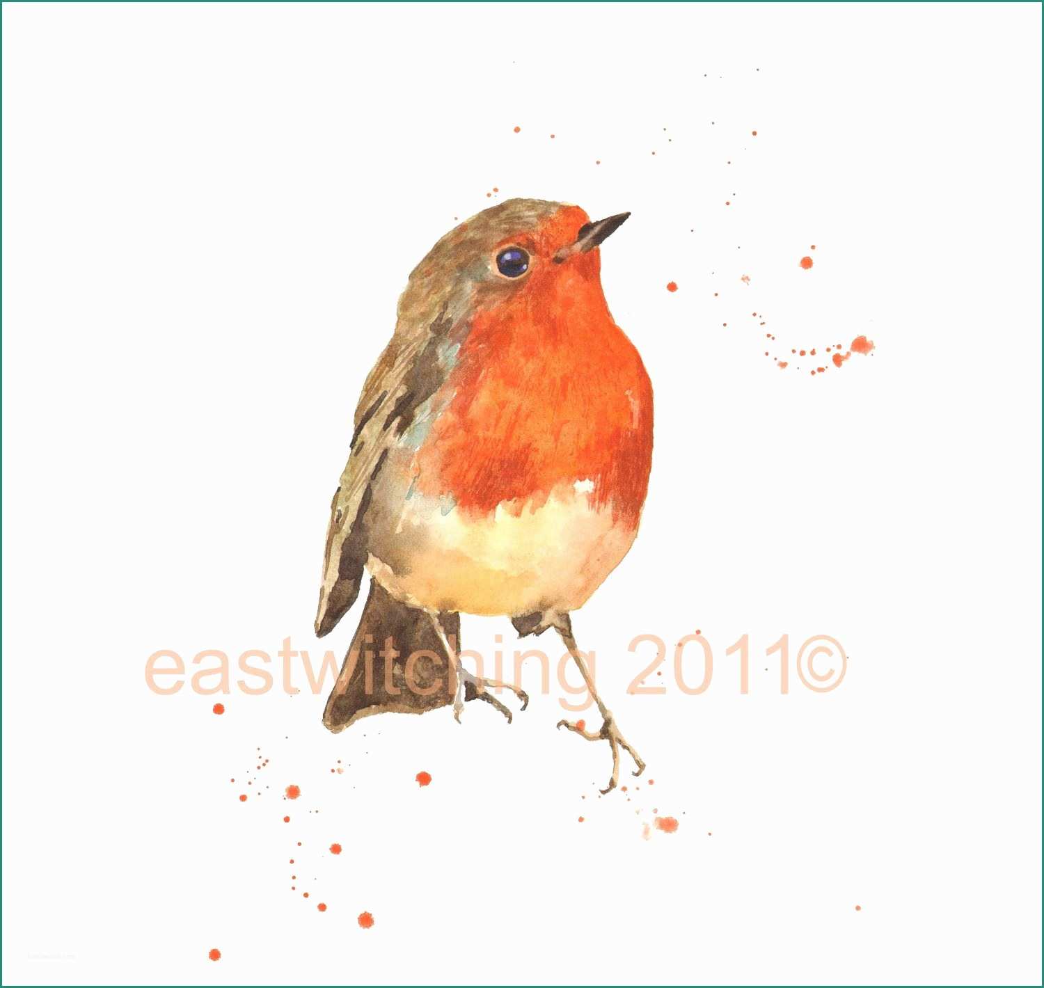 Quadri Paesaggi toscani E Watercolor Robin Print Hostess T 8x10 Print Bird Art Prints