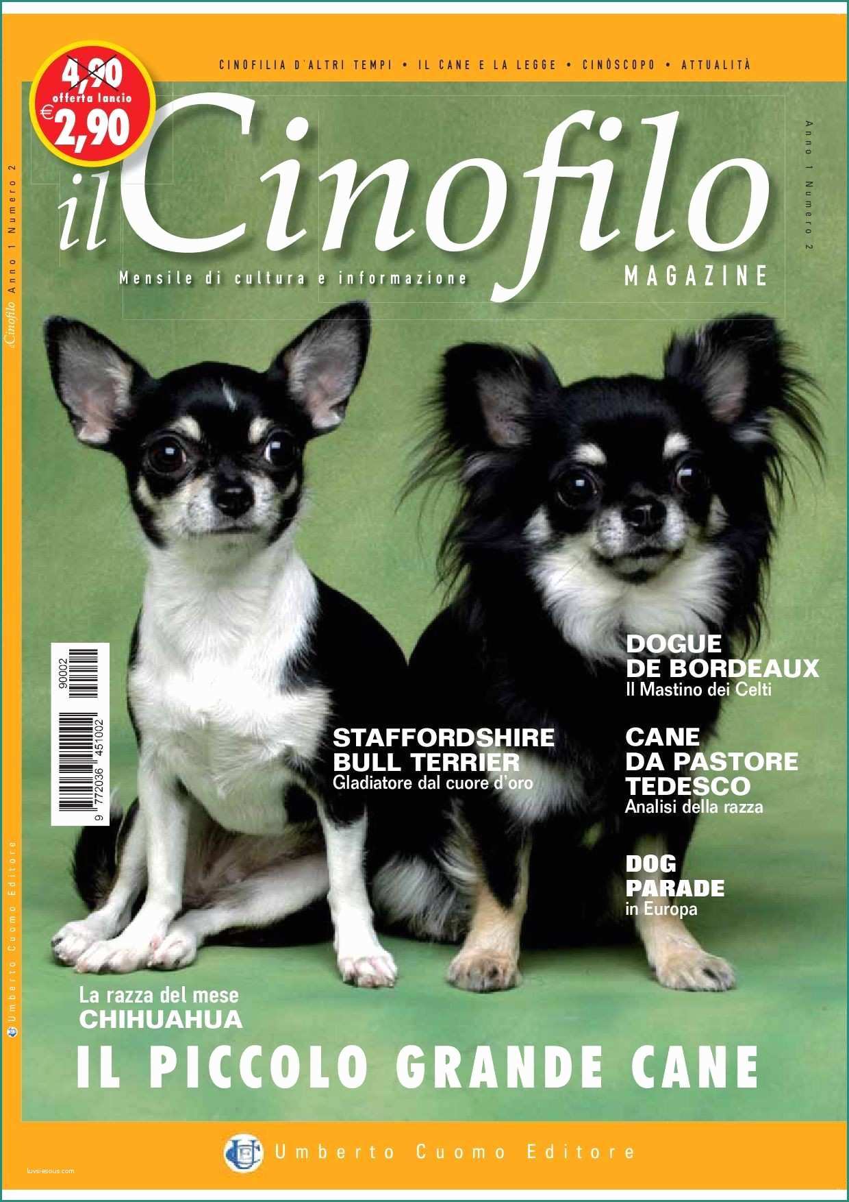 Recinto Per Cani Fai Da Te E Recinto Per Cani Fai Da Te Il Cinofilo Magazine 2 by Massimo Pozzi