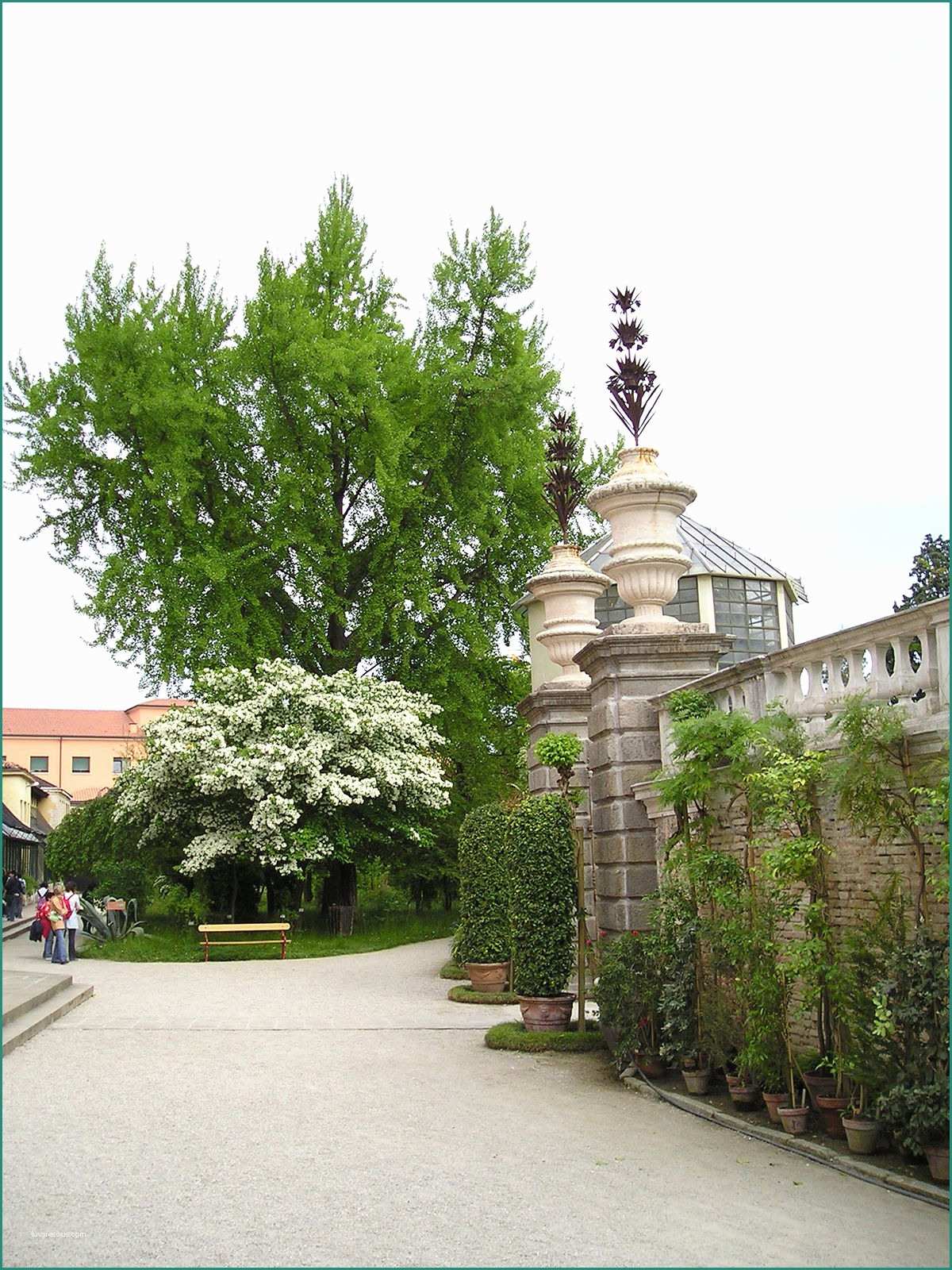 Recinzione Esterna Moderna E orto Botanico Di Padova