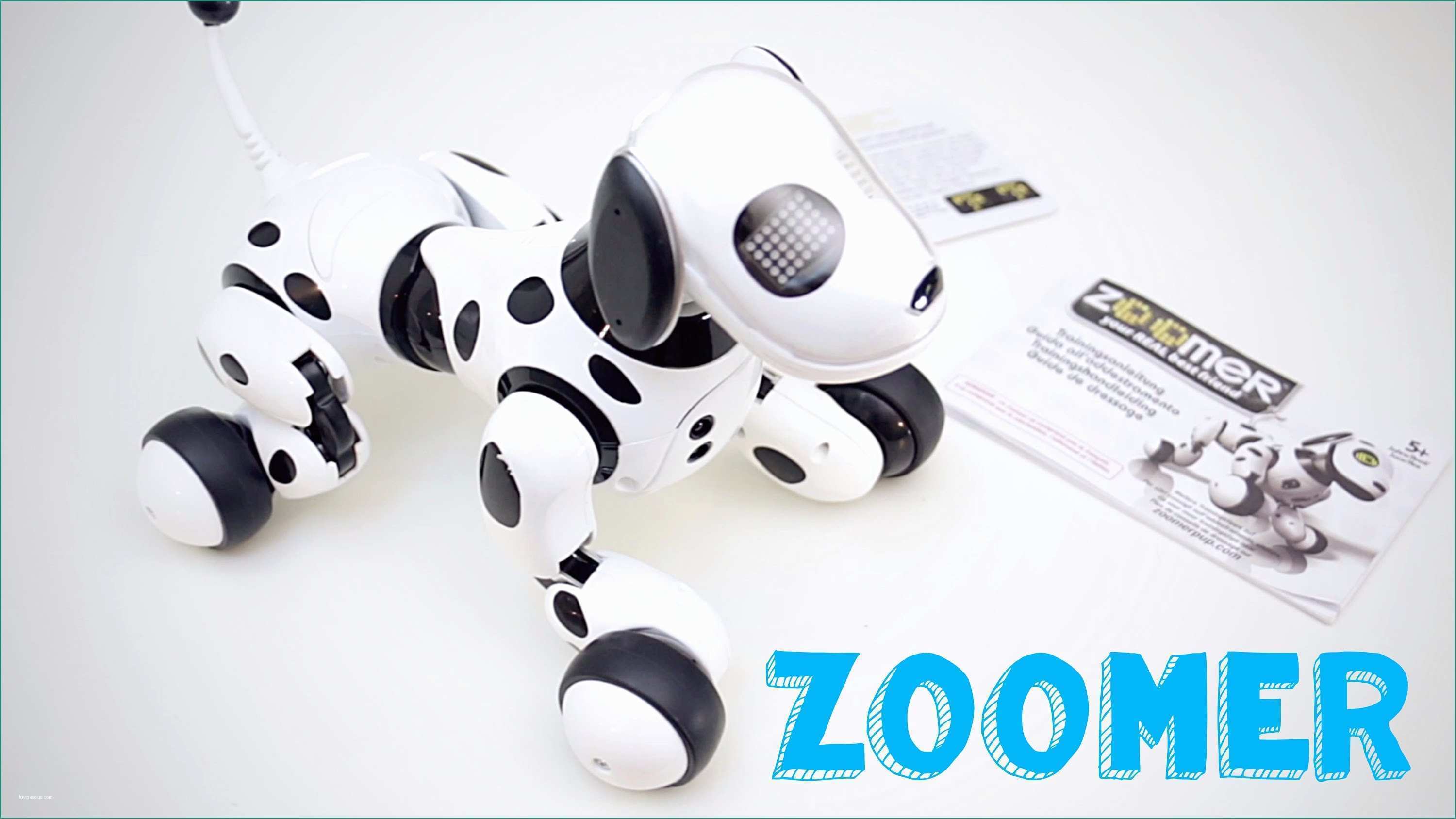 Robot Piscina Amazon E Zoomer Il Cane Robot Per Bambini Spin Master