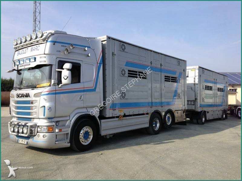 Scania R Usato E Autotreno Scania Trasporto Bestiame R 620 6x2 Gasolio Euro