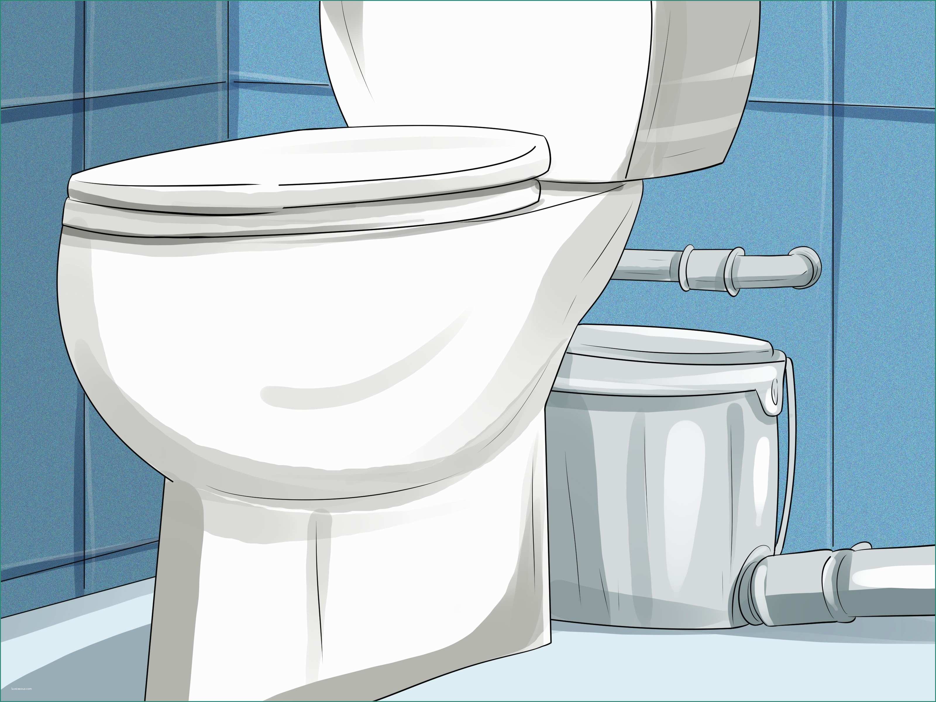 Separe Per Ufficio E Best Plumbing toilet