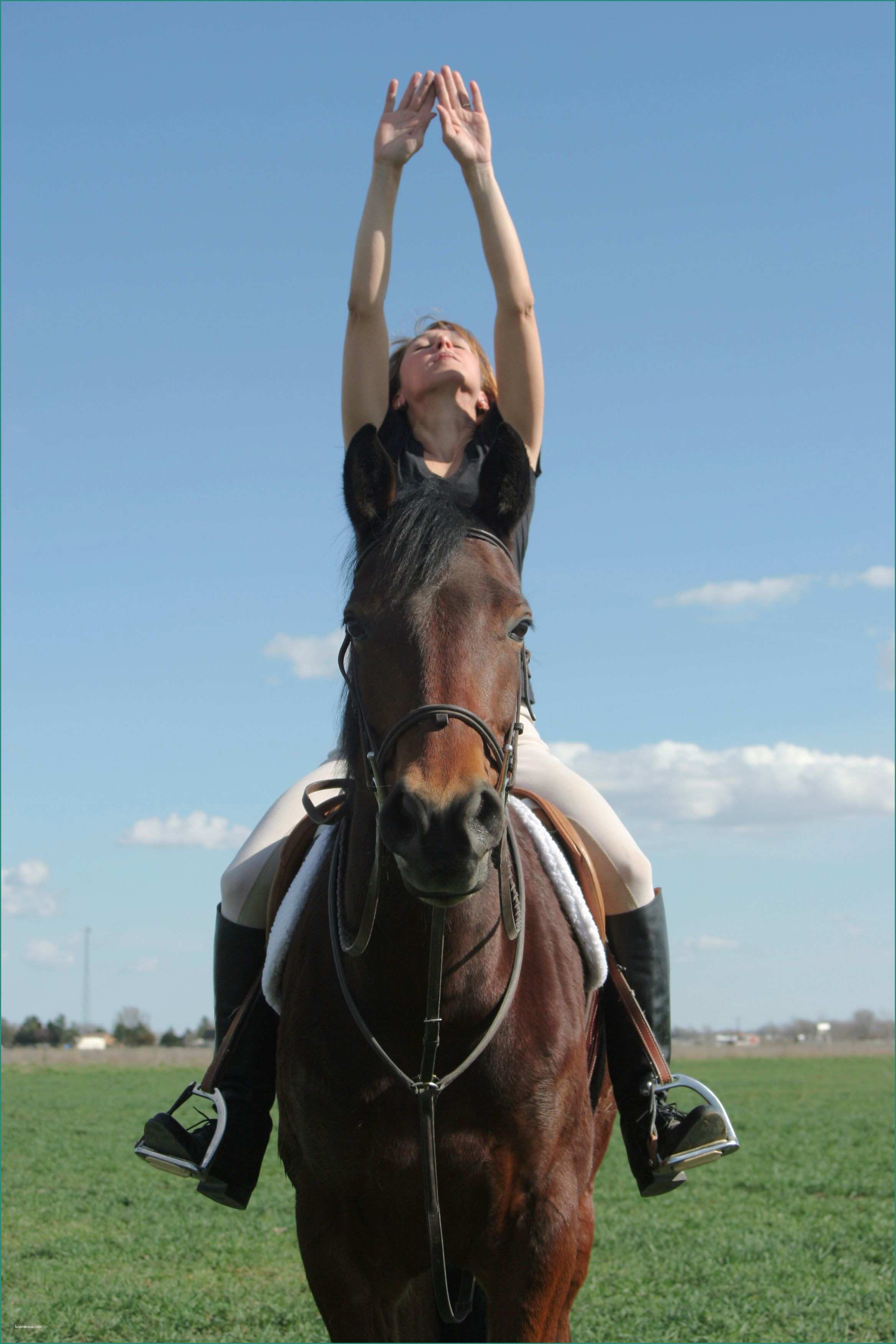 Serpenti Nei sogni E Yoga for Riders to Help Stay Relaxed In the Saddle