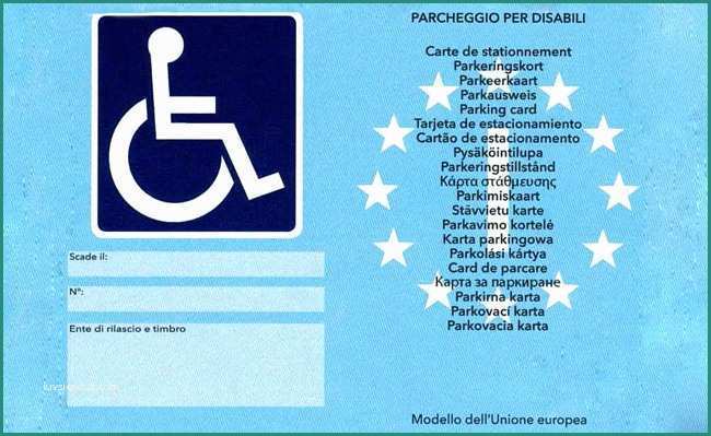 Simbolo Handicap Dwg E Parcheggio Disabili Cosa è Utile Sapere
