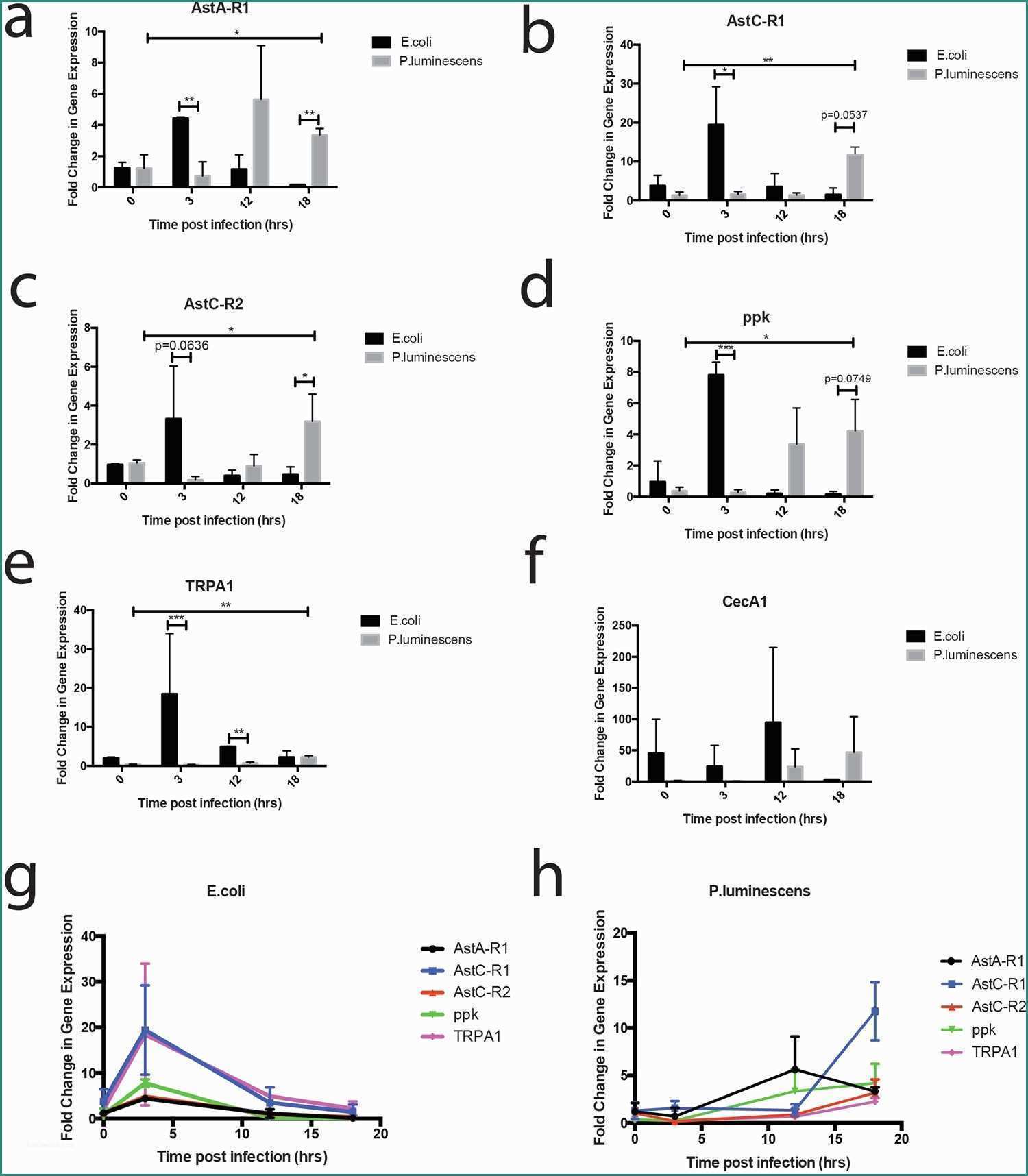 Ssml Gregorio Vii E Allatostatin C Modulates Nociception and Immunity In Drosophila