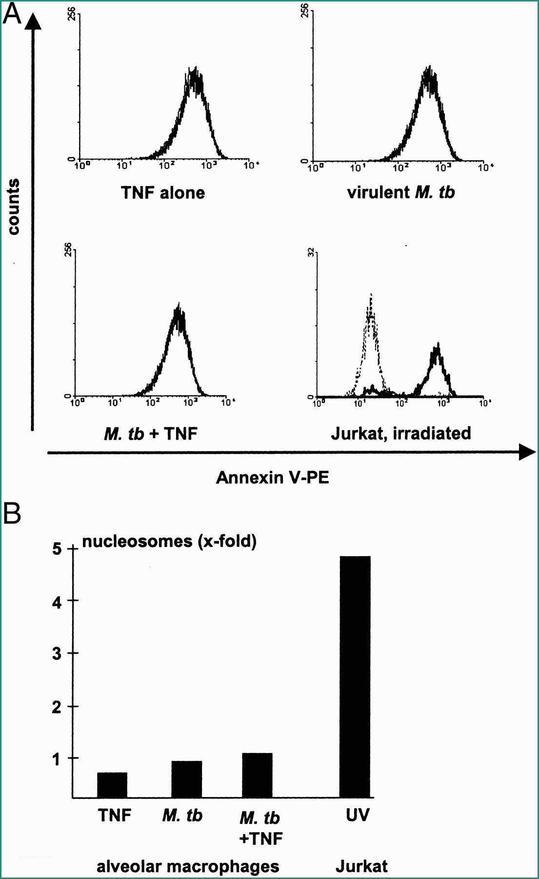 Ssml Gregorio Vii E Induction Of Tnf In Human Alveolar Macrophages as A Potential
