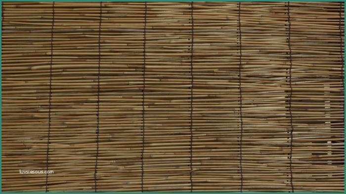 Tende In Bambu Per Esterni Obi E Il Bambù Per Le Tende Da sole La Stampa